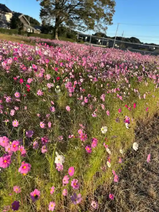 小國神社(静岡県)