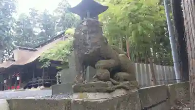 熊野大社の狛犬