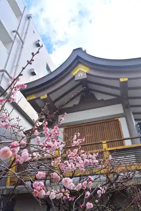 湯島天満宮(東京都)