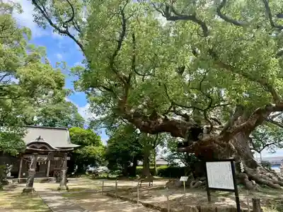 青幡神社(佐賀県)