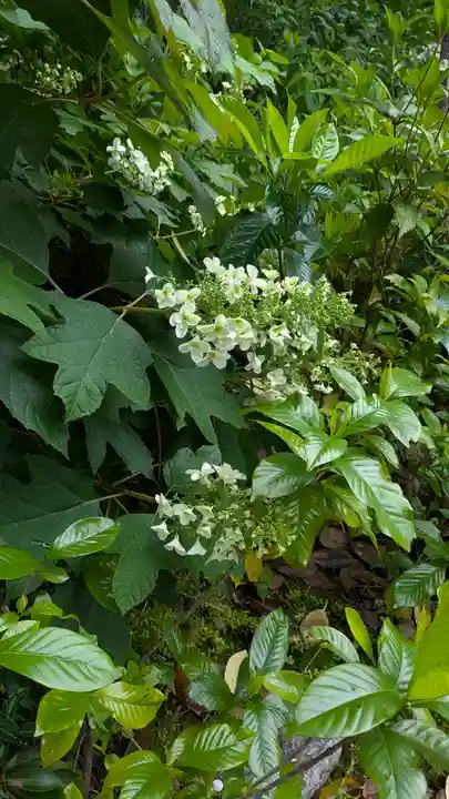 本法寺(京都府)
