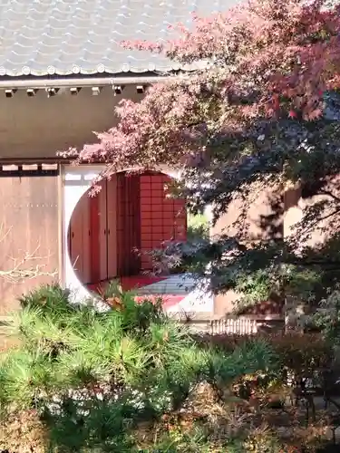 明月院(神奈川県)