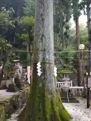 中之嶽神社の自然