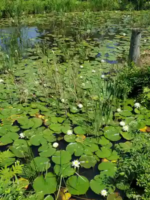陽林寺(福島県)