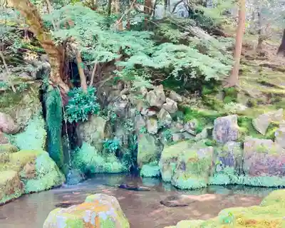 慈照寺（慈照禅寺・銀閣寺）(京都府)