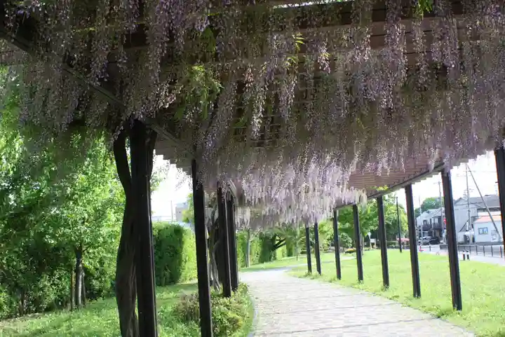 松尾神社(京都府)