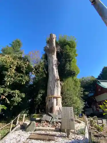 鹿嶋神社の自然