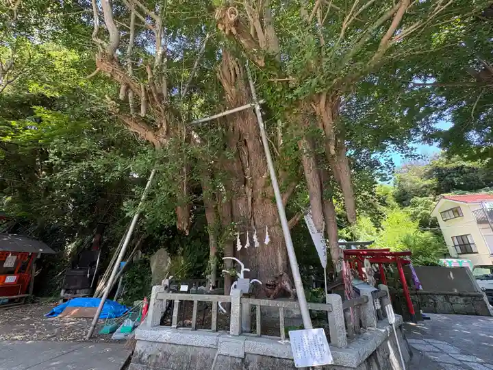 海南神社(神奈川県)