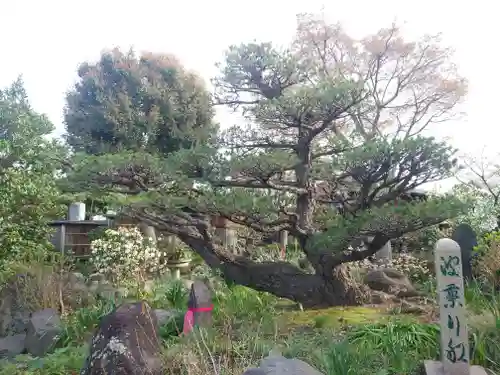常泉寺(神奈川県)