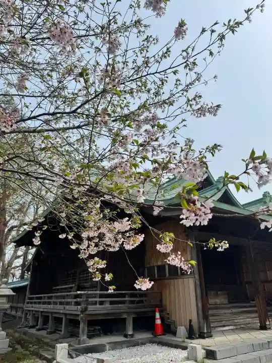 水天宮の{uncategorized: "未分類", other: "その他", undefined: "問題あり", building: "その他建物", grave: "お墓", sacred_gate: "鳥居", guardian: "狛犬", statue: "像", buddha: "仏像", history: "歴史", nature: "自然", garden: "庭園", animal: "動物", pagoda: "塔", temizu: "手水舎", mountain_gate: "山門・神門", sanctuary: "本殿・本堂", subordinate: "末社・摂社", art: "芸術", scenery: "景色", jizo: "地蔵", ema: "絵馬", goshuin: "御朱印", omikuji: "おみくじ", items: "授与品その他", amulet: "お守り", goshuincho: "御朱印帳", eats: "食事", festival: "お祭り", votive_dance: "神楽", shichigosan: "七五三参", wedding: "結婚式", experience: "体験その他", initially: "初詣", around: "周辺", anti_infection: "感染症対策"}