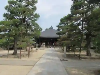智恩寺(京都府)