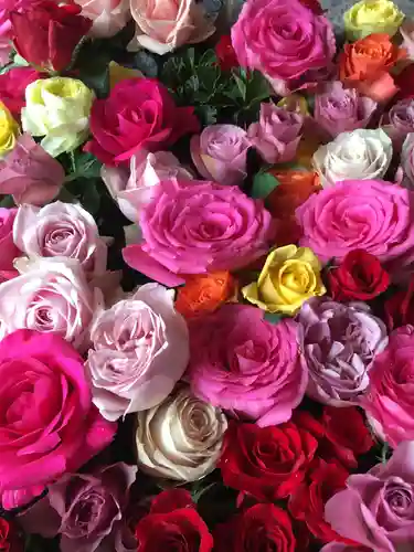 札幌諏訪神社の手水舎