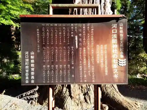 河口浅間神社の歴史