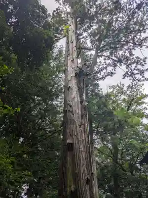 一言主神社(茨城県)