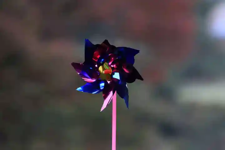 阿久津「田村神社」(郡山市阿久津町)旧社名:伊豆箱根三嶋三社の庭園