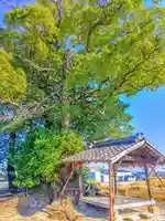 白山社の本殿・本堂