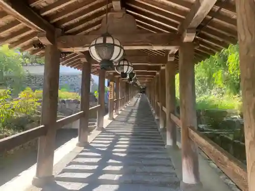 長谷寺(奈良県)