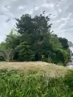 稲荷神社(千葉県)