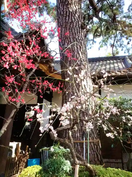 玄国寺(東京都)