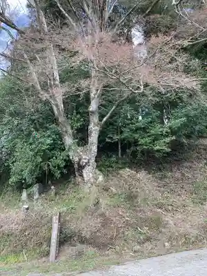 鹿島神社(栃木県)