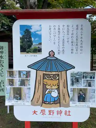 大原野神社(京都府)