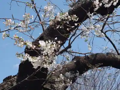 盛岩寺(神奈川県)