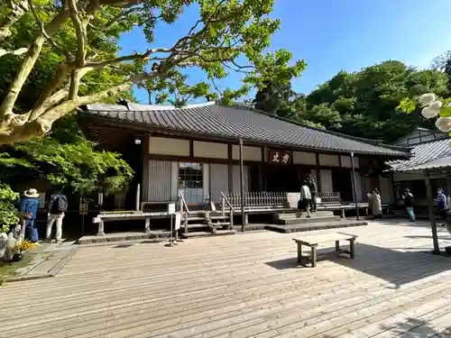 明月院(神奈川県)