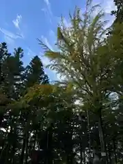 日枝神社(岐阜県)