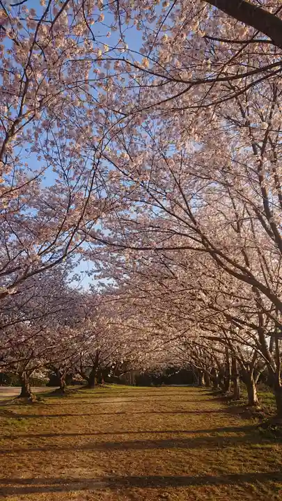 貴船神社の自然
