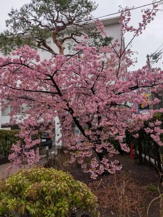 桜神宮(東京都)