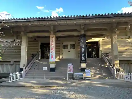 鶴岡八幡宮(神奈川県)