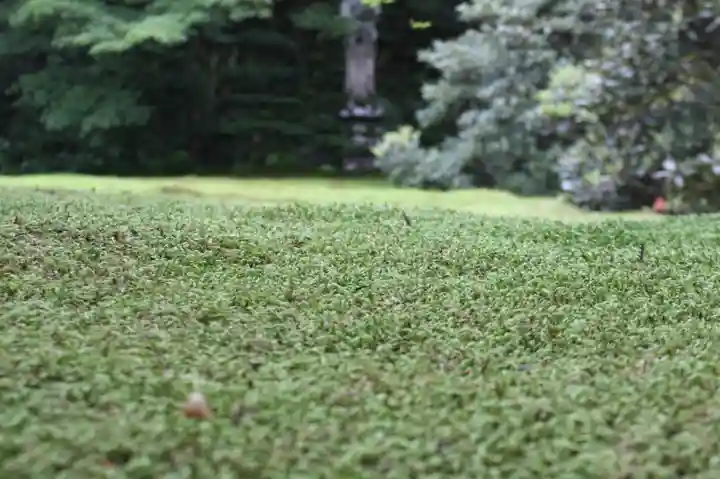 三千院門跡(京都府)