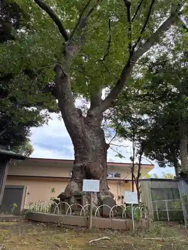 稲荷神社(千葉県)