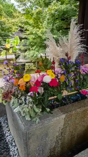 勝林寺(京都府)