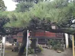 永心寺の建物その他