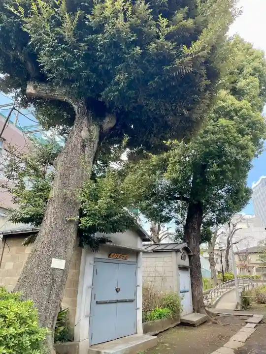 白山神社の{uncategorized: "未分類", other: "その他", undefined: "問題あり", building: "その他建物", grave: "お墓", sacred_gate: "鳥居", guardian: "狛犬", statue: "像", buddha: "仏像", history: "歴史", nature: "自然", garden: "庭園", animal: "動物", pagoda: "塔", temizu: "手水舎", mountain_gate: "山門・神門", sanctuary: "本殿・本堂", subordinate: "末社・摂社", art: "芸術", scenery: "景色", jizo: "地蔵", ema: "絵馬", goshuin: "御朱印", omikuji: "おみくじ", items: "授与品その他", amulet: "お守り", goshuincho: "御朱印帳", eats: "食事", festival: "お祭り", votive_dance: "神楽", shichigosan: "七五三参", wedding: "結婚式", experience: "体験その他", initially: "初詣", around: "周辺", anti_infection: "感染症対策"}