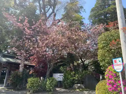 比々多神社の自然
