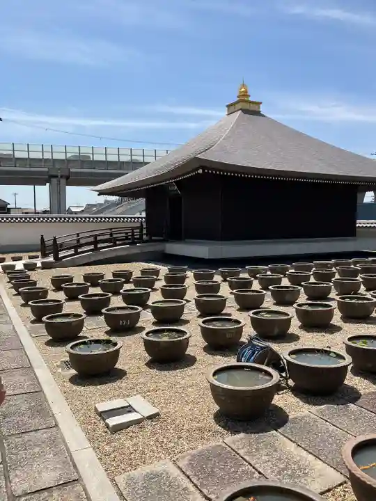喜光寺(奈良県)