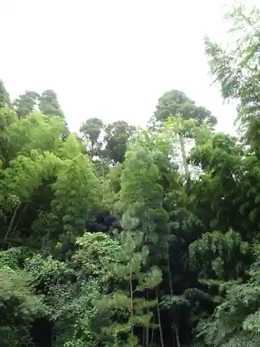 田間神社の自然