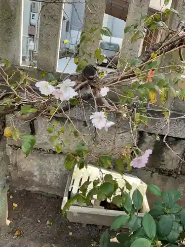 素盞男神社(愛知県)
