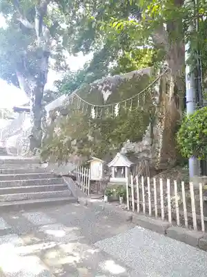 阿智神社の末社・摂社