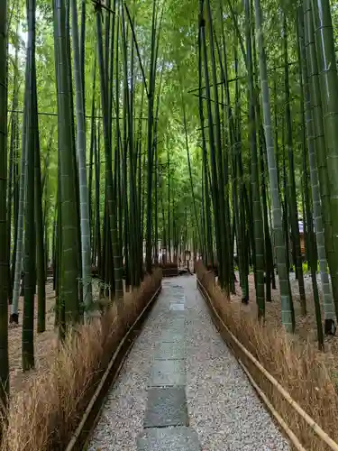 報国寺(神奈川県)