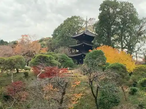 圓通閣の庭園