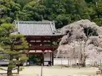 金剛寺の山門・神門