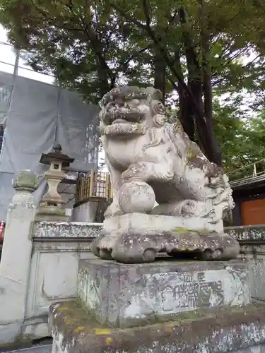 安積國造神社の狛犬