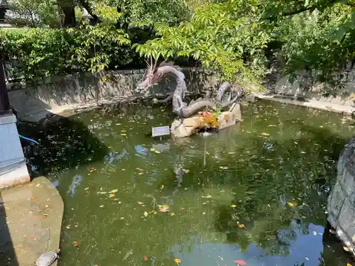 壬生寺(京都府)