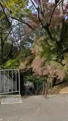 霊明神社(京都府)