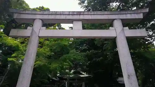 杵築大社の鳥居