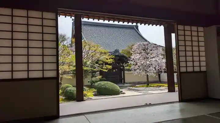 妙顯寺(妙顕寺)(京都府)