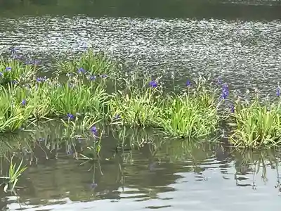 伊勢神宮外宮（豊受大神宮）(三重県)
